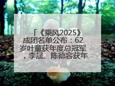 《乘风2025》成团名单公布：62岁叶童获年度总冠军，李晟、陈德容获年度高光人物