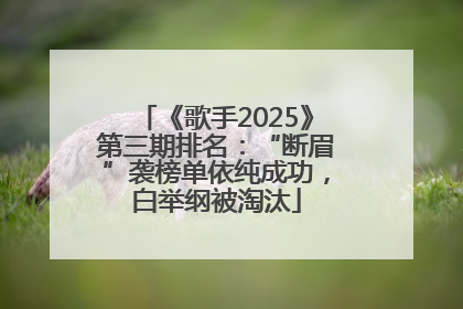 《歌手2025》第三期排名：“断眉”袭榜单依纯成功，白举纲被淘汰