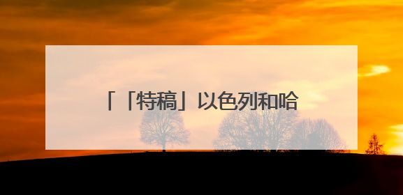 「特稿」以色列和哈马斯对美国的加沙停火方案态度显“温差”