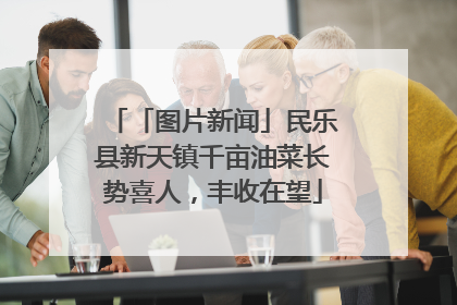 「图片新闻」民乐县新天镇千亩油菜长势喜人，丰收在望