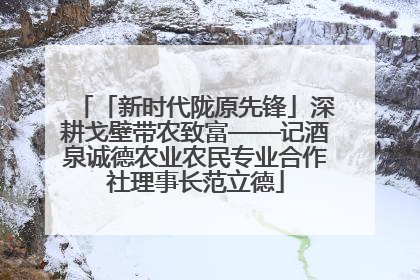 「新时代陇原先锋」深耕戈壁带农致富——记酒泉诚德农业农民专业合作社理事长范立德