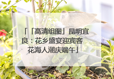 「高清组图」昆明宜良：花乡盛宴迎宾客 花海人潮庆端午