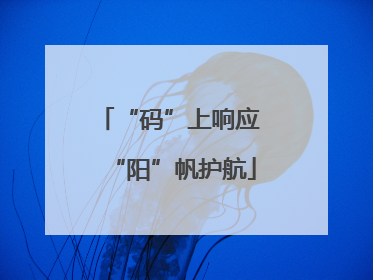 “码”上响应 “阳”帆护航