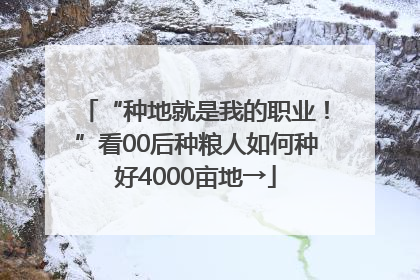 “种地就是我的职业！”看00后种粮人如何种好4000亩地→