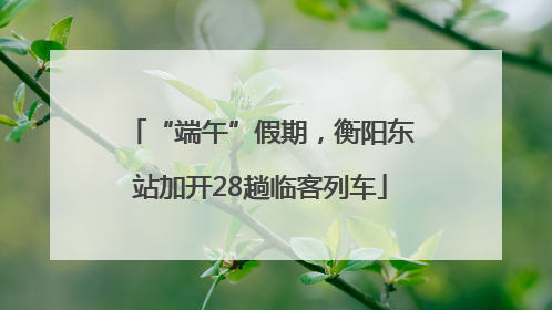 “端午”假期，衡阳东站加开28趟临客列车