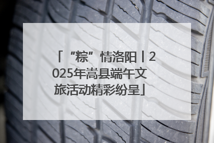 “粽”情洛阳丨2025年嵩县端午文旅活动精彩纷呈
