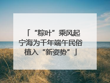 “粽叶”乘风起 宁海为千年端午民俗植入“新姿势”