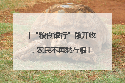 “粮食银行”敞开收，农民不再愁存粮