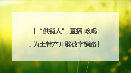 “供销人” 直播 吆喝，为土特产开辟数字销路