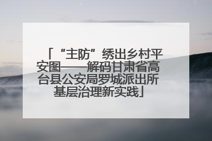“主防”绣出乡村平安图——解码甘肃省高台县公安局罗城派出所基层治理新实践