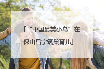 “中国最美小鸟”在保山昌宁筑巢育儿