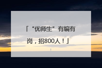 “优师生”有编有岗，招800人！