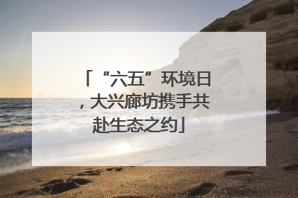“六五”环境日，大兴廊坊携手共赴生态之约