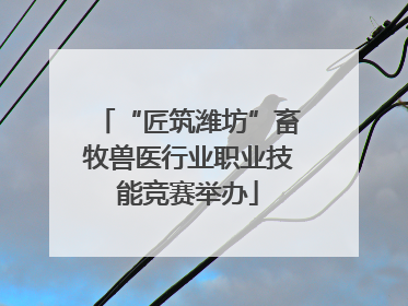 “匠筑潍坊”畜牧兽医行业职业技能竞赛举办