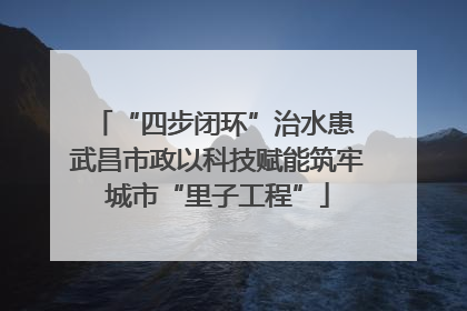 “四步闭环”治水患 武昌市政以科技赋能筑牢城市“里子工程”