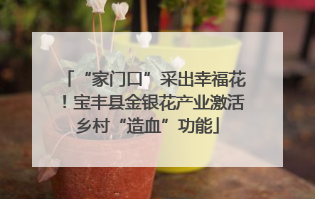 “家门口”采出幸福花！宝丰县金银花产业激活乡村“造血”功能