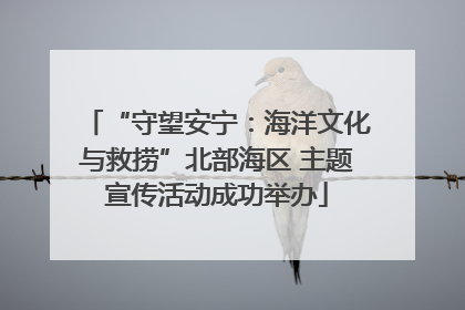 “守望安宁：海洋文化与救捞”北部海区 主题宣传活动成功举办