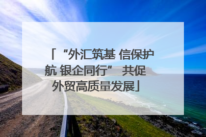 “外汇筑基 信保护航 银企同行” 共促外贸高质量发展