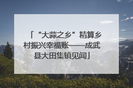 “大蒜之乡”精算乡村振兴幸福账——成武县大田集镇见闻