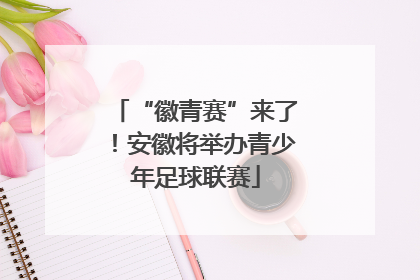 “徽青赛”来了！安徽将举办青少年足球联赛