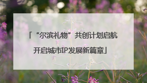 “尔滨礼物”共创计划启航 开启城市IP发展新篇章