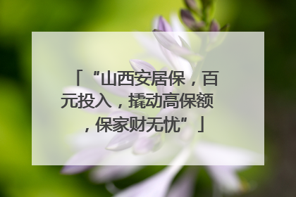 “山西安居保，百元投入，撬动高保额，保家财无忧”