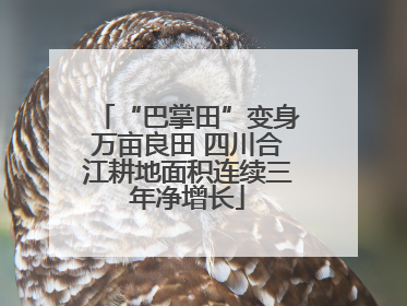 “巴掌田”变身万亩良田 四川合江耕地面积连续三年净增长