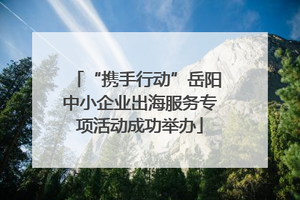 “携手行动”岳阳中小企业出海服务专项活动成功举办