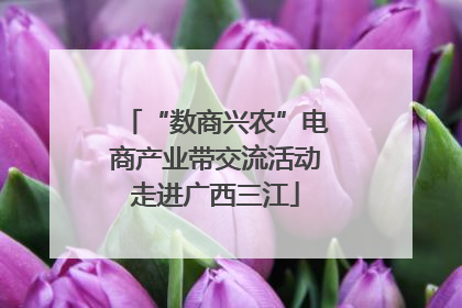 “数商兴农”电商产业带交流活动走进广西三江