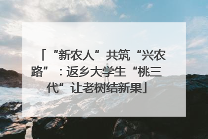 “新农人”共筑“兴农路”：返乡大学生“桃三代”让老树结新果