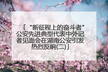“新征程上的奋斗者”公安先进典型代表中外记者见面会在湖南公安引发热烈反响(二)