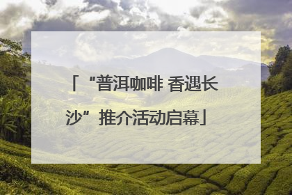 “普洱咖啡 香遇长沙”推介活动启幕