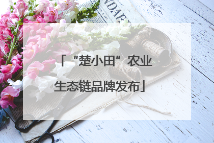 “楚小田”农业生态链品牌发布