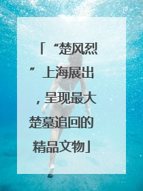 “楚风烈”上海展出，呈现最大楚墓追回的精品文物