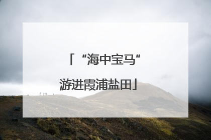 “海中宝马”游进霞浦盐田
