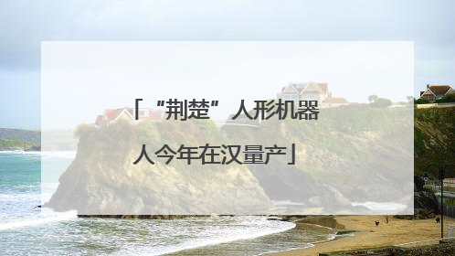 “荆楚”人形机器人今年在汉量产