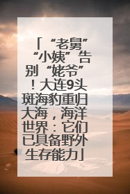 “老舅”“小姨”告别“姥爷”！大连9头斑海豹重归大海，海洋世界：它们已具备野外生存能力