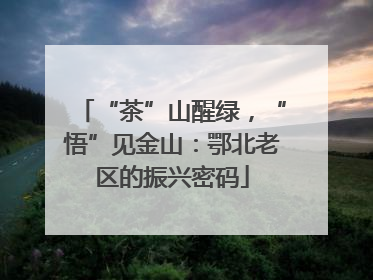 “茶”山醒绿，“悟”见金山：鄂北老区的振兴密码