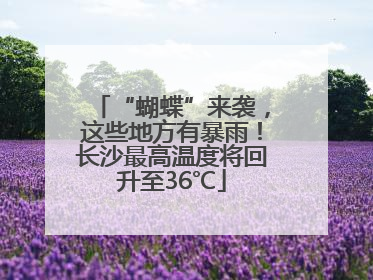 “蝴蝶”来袭，这些地方有暴雨！长沙最高温度将回升至36℃