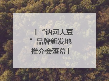 “讷河大豆”品牌新发地推介会落幕