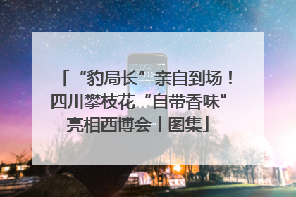 “豹局长”亲自到场！四川攀枝花“自带香味”亮相西博会丨图集