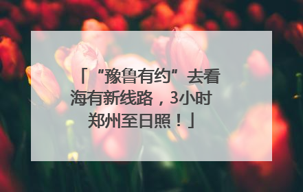 “豫鲁有约”去看海有新线路，3小时郑州至日照！