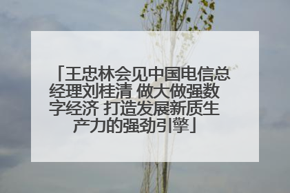 王忠林会见中国电信总经理刘桂清 做大做强数字经济 打造发展新质生产力的强劲引擎