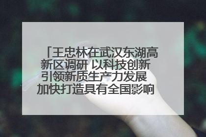 王忠林在武汉东湖高新区调研 以科技创新引领新质生产力发展 加快打造具有全国影响力的科技创新高地