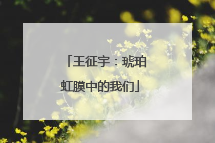 王征宇：琥珀虹膜中的我们