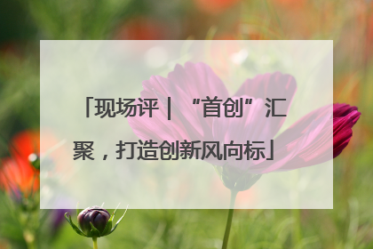 现场评｜“首创”汇聚，打造创新风向标