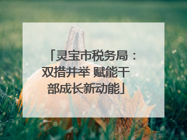 灵宝市税务局：双措并举 赋能干部成长新动能