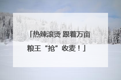 热辣滚烫 跟着万亩粮王“抢”收麦！