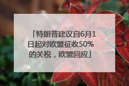 特朗普建议自6月1日起对欧盟征收50%的关税，欧盟回应