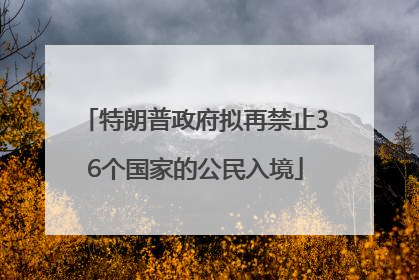 特朗普政府拟再禁止36个国家的公民入境